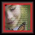 Fahkra Batool 03 * 22.03.2008 * 449 x 741 * (35KB)